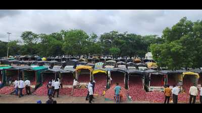 The Centre on Monday increased the minimum assured procurement price (MAPP) of onion from  ₹1,235 per quintal to  ₹1,580 per quintal for farmers in Nashik district. (HT FILE)