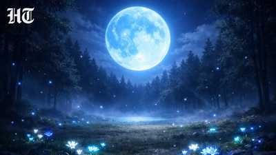 Full Moon May 2026: How this intense Blue Moon might impact your zodiac sign (Pinterest) Full Moon May 2026: How this intense Blue Moon might impact your zodiac sign (Pinterest)