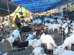 On Monday night, a scuffle broke out between the two groups over the alleged illegal presence of goats in the society. 
