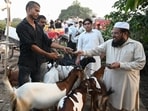 People buy goats ahead of the Eid al-Adha festival, Market near Joggers Park in Lucknow on Tuesday (Mushtaq Ali/HT)