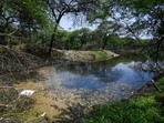 The Kitchener Lake in Dhaula Kuan on Tuesday. (Sanchit Khanna/HT Photo) The Kitchener Lake in Dhaula Kuan on Tuesday. (Sanchit Khanna/HT Photo)