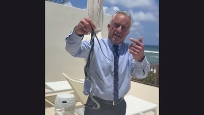 In the footage, Kennedy approaches the snakes and eventually lifts both reptiles off the ground with his hands. (X) In the footage, Kennedy approaches the snakes and eventually lifts both reptiles off the ground with his hands. (X)