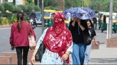 Sizzling weather also prevailed in Rohtak and Bhiwani, which recorded maximums of 45.6°C and 44.5°C (HT File)