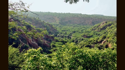 The state will also expand its AI-based alert system, currently being tested in villages near forest areas, to around 1,000 villages in the first phase. (REPRESENTATIVE PIC) The state will also expand its AI-based alert system, currently being tested in villages near forest areas, to around 1,000 villages in the first phase. (REPRESENTATIVE PIC)