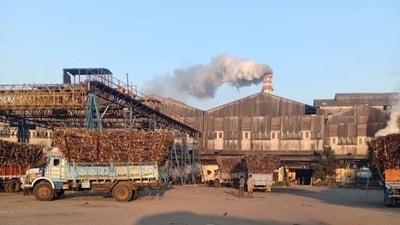 A truck loaded with sugarcane in Gujarat. The state government has approved sugarcane prices paid by cooperative sugar societies between 2007-08 and 2014-15, providing major relief to cooperatives and farmers. A truck loaded with sugarcane in Gujarat. The state government has approved sugarcane prices paid by cooperative sugar societies between 2007-08 and 2014-15, providing major relief to cooperatives and farmers.