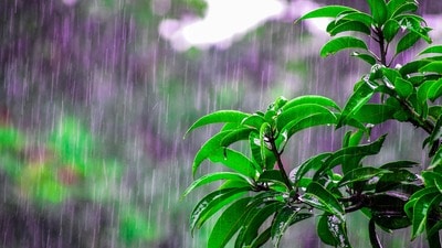 <p>ఇక తెలంగాణలో చూస్తే నాలుగైదు రోజుల పాటు తేలికపాటి నుండి ఒక మోస్తరు వర్షాలు అక్కడక్కడా కురిసే అవకాశం ఉంది. ఇవాళ(మే 26) ఖమ్మం, నల్గొండ, భువనగిరి, రంగారెడ్డి, హైదరాబాద్, మేడ్చల్, వికారాబాద్, సంగారెడ్డి, మెదక్, కామారెడ్డి, మహబూబ్ నగర్, నాగర్ కర్నూల్ వనపర్తి, నారాయణపేట, గద్వాల జిల్లాల్లో ఉరుములు, మెరుపులు, ఈదురుగాలులతో కూడిన వర్షాలు పడొచ్చు. మరికొన్ని జిల్లాలకు వడగాల్పుల హెచ్చరికలు జారీ అయ్యాయి.భూపాలపల్లి, ములుగు, కొత్తగూడెం, ఖమ్మం జిల్లాల వడగాల్పుల పరిస్థితులు ఉంటాయి. ఈ జిల్లాలకు రెడ్ అలర్ట్ జారీ అయింది.<br> </p> <p>ఇక తెలంగాణలో చూస్తే నాలుగైదు రోజుల పాటు తేలికపాటి నుండి ఒక మోస్తరు వర్షాలు అక్కడక్కడా కురిసే అవకాశం ఉంది. ఇవాళ(మే 26) ఖమ్మం, నల్గొండ, భువనగిరి, రంగారెడ్డి, హైదరాబాద్, మేడ్చల్, వికారాబాద్, సంగారెడ్డి, మెదక్, కామారెడ్డి, మహబూబ్ నగర్, నాగర్ కర్నూల్ వనపర్తి, నారాయణపేట, గద్వాల జిల్లాల్లో ఉరుములు, మెరుపులు, ఈదురుగాలులతో కూడిన వర్షాలు పడొచ్చు. మరికొన్ని జిల్లాలకు వడగాల్పుల హెచ్చరికలు జారీ అయ్యాయి.భూపాలపల్లి, ములుగు, కొత్తగూడెం, ఖమ్మం జిల్లాల వడగాల్పుల పరిస్థితులు ఉంటాయి. ఈ జిల్లాలకు రెడ్ అలర్ట్ జారీ అయింది.<br> </p>
