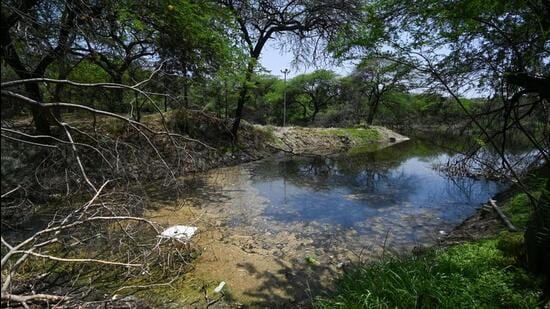 The Kitchener Lake in Dhaula Kuan on Tuesday. (Sanchit Khanna/HT Photo)