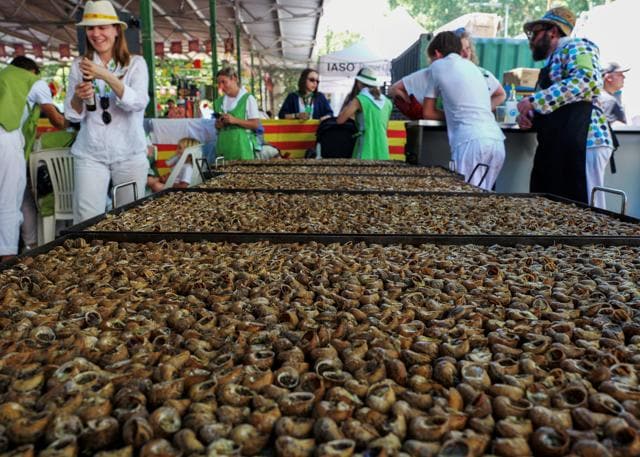 Snails displayed on trays during the world's largest snail-eating festival in Lleida, Spain. (Photo: Amy McConaghy/REUTERS) Snails displayed on trays during the world's largest snail-eating festival in Lleida, Spain. (Photo: Amy McConaghy/REUTERS)