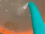 A screengrab from the video of contaminated water supply, seen on Monday. (HT Photo)