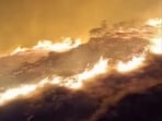 A video grab of the fire near Ramsar village adjoining the forest in Morni Hills near Panchkula on Tuesday night.