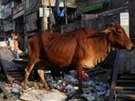 The cow has no such official status for now, but demand for it has historically come from Hindu nationalist groups and BJP legislators.