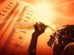 Lucknow recorded a maximum temperature of 42.9°C and a minimum of 28.3°C on Tuesday. (For representation)