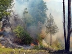 Massive fires broke out in the forests of Malog and Rajhana under the Mashobra Range. 