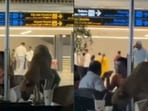 Stray dog eating food leftovers at Rajiv Gandhi International Airport.
