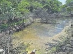 A petition filed by the SP-CHETNA to the NGT, contended that the Kitchener lake is entirely covered in algae, leaving no visible patch of water. A petition filed by the SP-CHETNA to the NGT, contended that the Kitchener lake is entirely covered in algae, leaving no visible patch of water.