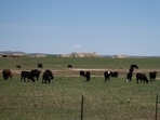 Bunkers at Vivos xPoint, a survivalist community in South Dakota. Bunkers at Vivos xPoint, a survivalist community in South Dakota.