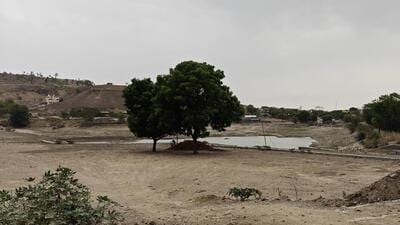 Citizens seek urgent restoration of neglected, dried-up Wadachiwadi lake Citizens seek urgent restoration of neglected, dried-up Wadachiwadi lake