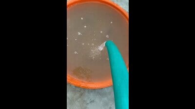A screengrab from the video of contaminated water supply, seen on Monday. (HT Photo) A screengrab from the video of contaminated water supply, seen on Monday. (HT Photo)