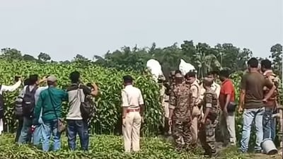 পাটের খেত খুঁড়ে মিলল প্রায় ৮০ লাখ! বাদুড়িয়ার ধৃত পুরপ্রধান দীপঙ্কর বড় বিপাকে পাটের খেত খুঁড়ে মিলল প্রায় ৮০ লাখ! বাদুড়িয়ার ধৃত পুরপ্রধান দীপঙ্কর বড় বিপাকে