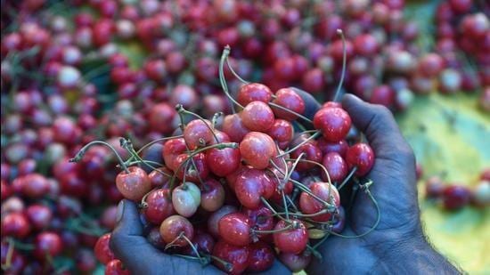 During the ongoing cherry season in Jammu and Kashmir, around 43 tonnes of fresh cherries from Kashmir have been safely delivered to major markets across the country via rail service, said officials on Wednesday.