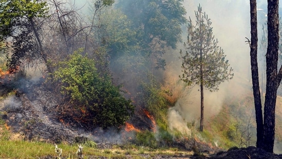 Massive fires broke out in the forests of Malog and Rajhana under the Mashobra Range. (PTI)