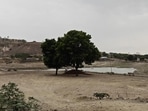 Citizens seek urgent restoration of neglected, dried-up Wadachiwadi lake