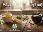 గ్రీన్ టీ వర్సెస్​ బ్లాక్ కాఫీ- ఏది ఎక్కువ ఎనర్జీ ఇస్తుంది?
