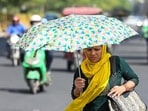 The maximum temperature is expected to settle at 43 degrees Celsius. (HT picture | Sunil Ghosh)