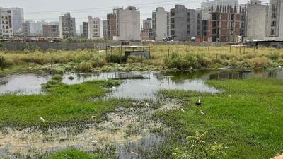 Residents said that the untreated wastewater is being discharged through a pipe from the boundary wall into a vacant plot next to the residential complex for over two years (HT PHOTO) Residents said that the untreated wastewater is being discharged through a pipe from the boundary wall into a vacant plot next to the residential complex for over two years (HT PHOTO)
