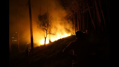 The forest fire raging in Shimla forests on Thursday.