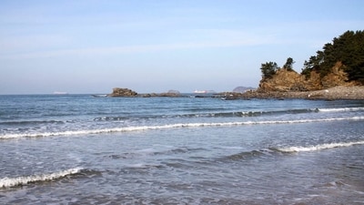 Dong Guangping was picked up in the waters off the west coast of South Korea. Dong Guangping was picked up in the waters off the west coast of South Korea.