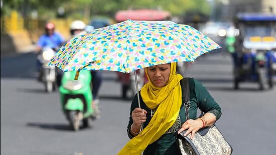 The maximum temperature is expected to settle at 43 degrees Celsius. (HT picture | Sunil Ghosh)