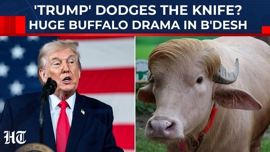 Social media star 'Donald Trump' spared from Eid sacrifice in Bangladesh