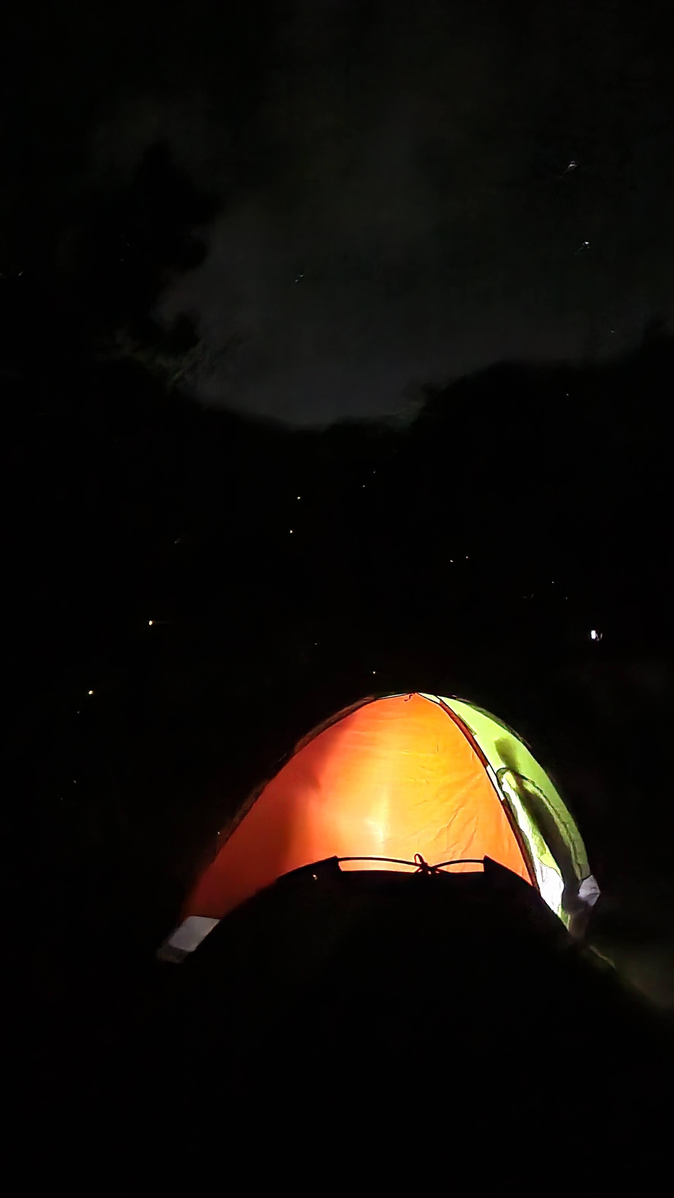 Experience the magic of fireflies in Maharashtra's Sahyadris this pre-monsoon season Experience the magic of fireflies in Maharashtra's Sahyadris this pre-monsoon season