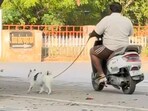 Lucknow man walks dog while riding scooter.