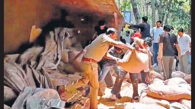 Cops and passerby clearing the sacks of maize after the truck was overturned. (HT Photo)