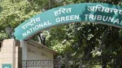 NGT was hearing a plea filed by a resident, claiming that the village pond has been encroached upon by the MCD and DJB for carrying out constructions there. (HT archive) NGT was hearing a plea filed by a resident, claiming that the village pond has been encroached upon by the MCD and DJB for carrying out constructions there. (HT archive)