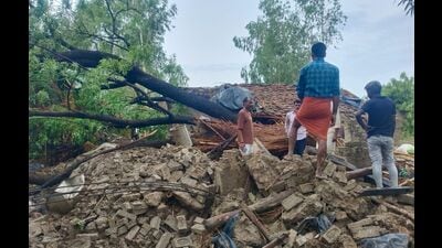The house collapses after a tree fell on top of it killing a woman and her two kids in Kaushambi. (HT) The house collapses after a tree fell on top of it killing a woman and her two kids in Kaushambi. (HT)