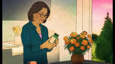 The idea of using estrogen to ease menopausal symptoms is not new. For women with troublesome hot flashes or vaginal symptoms, estrogen therapy can be highly effective. (AP)