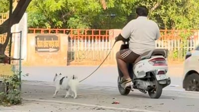 Lucknow man walks dog while riding scooter. (Instagram/@adhyayan_pandey_jii)