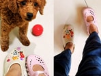 From Bengaluru airport queues to Singapore sightseeing days, these Crocs proved comfort and style can happily coexist in one surprisingly wearable package. (Hindustan Times)
