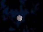 A Waxing Gibbous moon rises behind trees near Pristina on May 29, 2026. (Photo by Armend NIMANI / AFP)