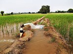 రైతు డిస్కం