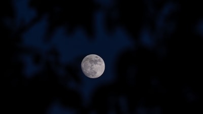 A Waxing Gibbous moon rises behind trees near Pristina on May 29, 2026. (Photo by Armend NIMANI / AFP) (AFP) A Waxing Gibbous moon rises behind trees near Pristina on May 29, 2026. (Photo by Armend NIMANI / AFP) (AFP)