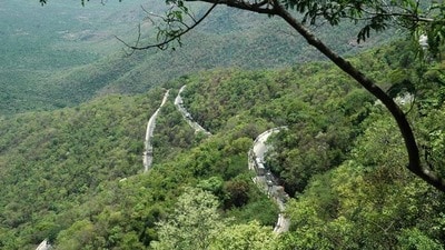 తిరుమల కొండ తిరుమల కొండ