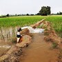 రైతు డిస్కం