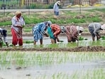 Any prolonged disruption in electricity supply can adversely affect irrigation schedules and agricultural operations. (HT PHOTO)