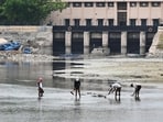 The Yamuna level has dropped to 268 feet, 6.5 notches below the normal level and close to a historic low (Arvind Yadav/ HT)