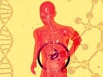 These 5 gut health trends are shaping wellness in 2026.