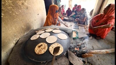 Material cost and food grain utilisation are expected to move broadly in tandem. Material cost and food grain utilisation are expected to move broadly in tandem.